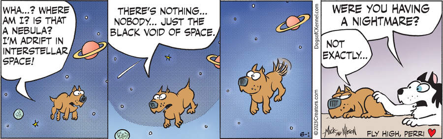 Dogs of C-Kennel for Jun 01, 2023