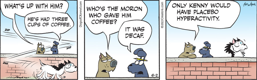 Dogs of C-Kennel for Jun 02, 2022