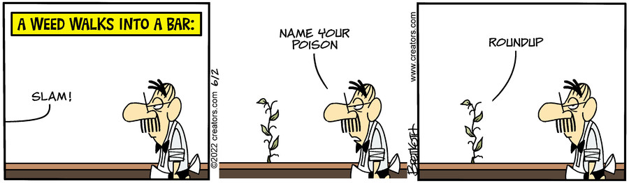 Diamond Lil for Jun 02, 2022