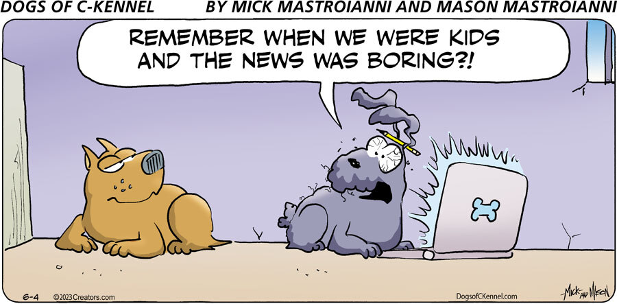 Dogs of C-Kennel for Jun 04, 2023