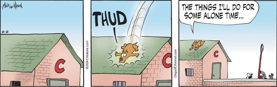 Dogs of C-Kennel for Jun 06, 2024