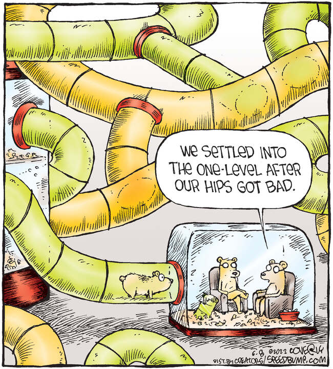 Speed Bump for Jun 08, 2023