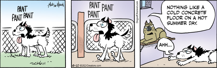 Dogs of C-Kennel for Jun 10, 2022