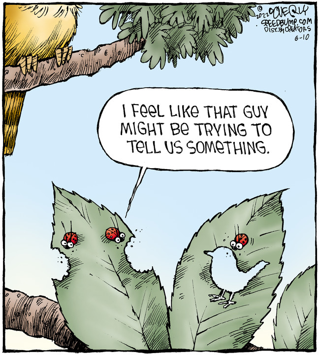 Speed Bump for Jun 10, 2022