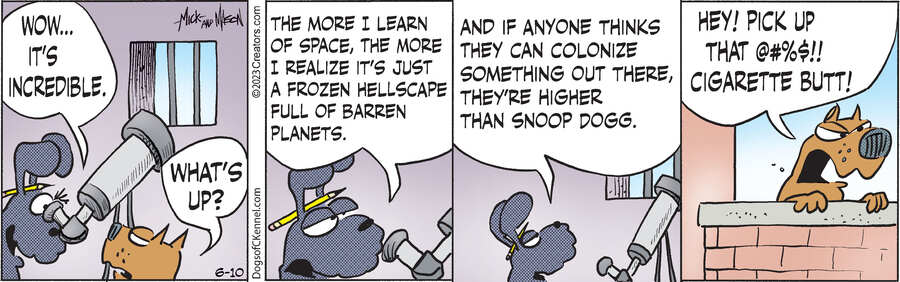 Dogs of C-Kennel for Jun 10, 2023