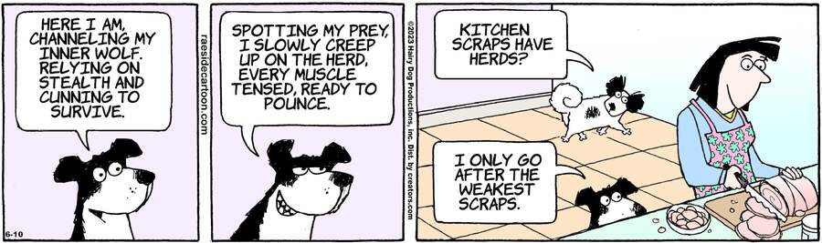 The Other Coast for Jun 10, 2023