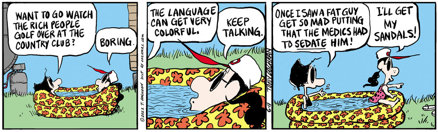 Agnes for Jun 11, 2022