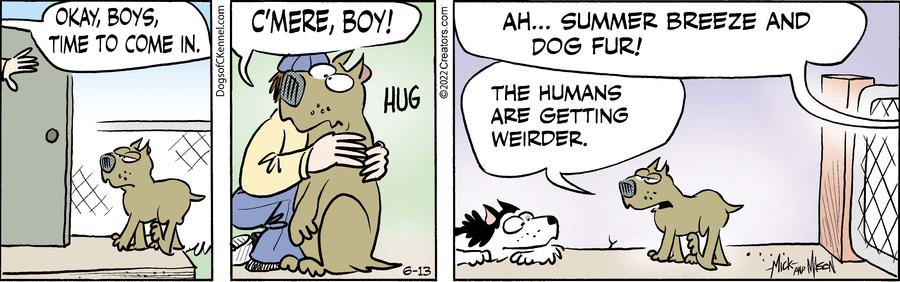 Dogs of C-Kennel for Jun 13, 2022