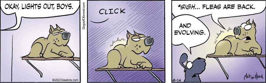 Dogs of C-Kennel for Jun 14, 2022