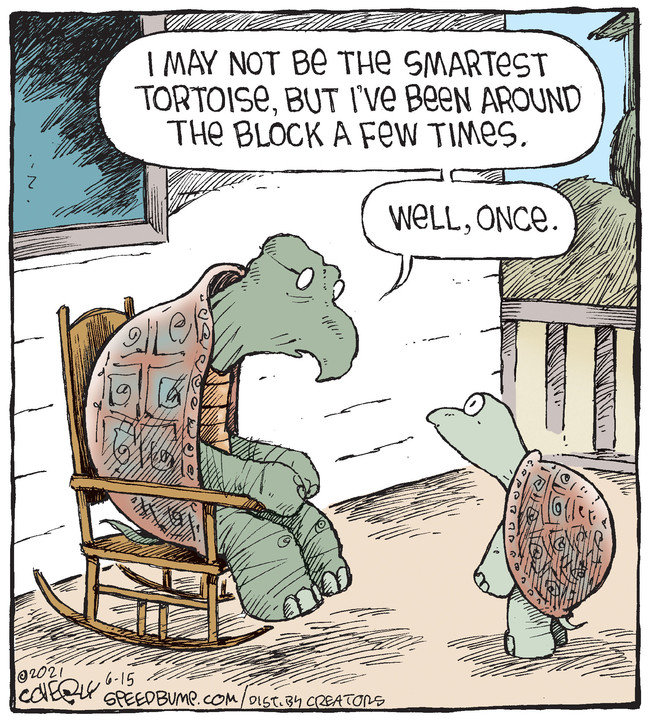 Speed Bump for Jun 15, 2021