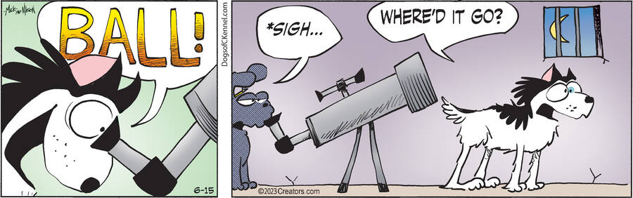 Dogs of C-Kennel for Jun 15, 2023