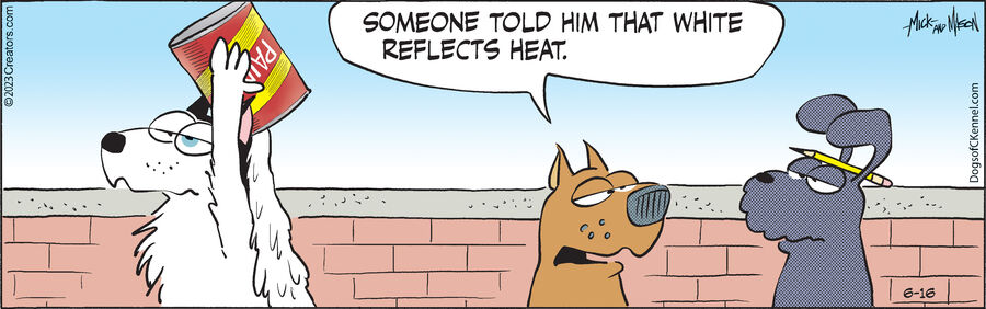 Dogs of C-Kennel for Jun 16, 2023