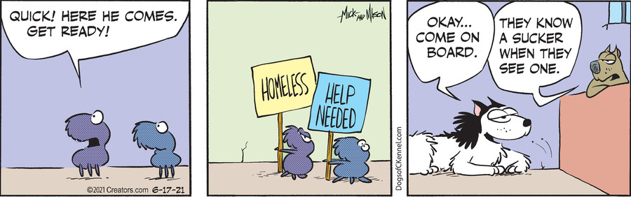 Dogs of C-Kennel for Jun 17, 2021