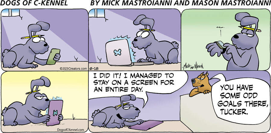 Dogs of C-Kennel for Jun 18, 2023