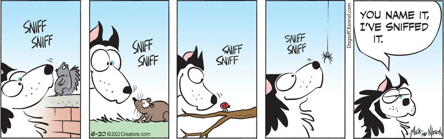 Dogs of C-Kennel for Jun 20, 2022
