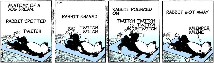 The Other Coast for Jun 20, 2022