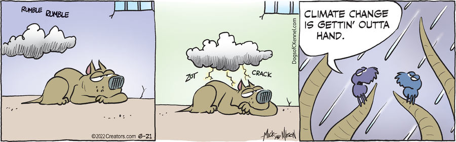 Dogs of C-Kennel for Jun 21, 2022