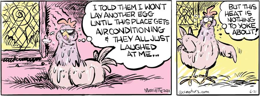 Shrimp and Grits for Jun 21, 2024