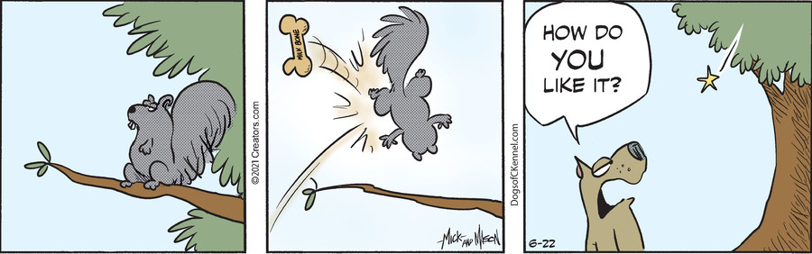 Dogs of C-Kennel for Jun 22, 2021