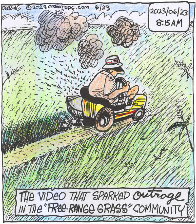 Strange Brew for Jun 23, 2023