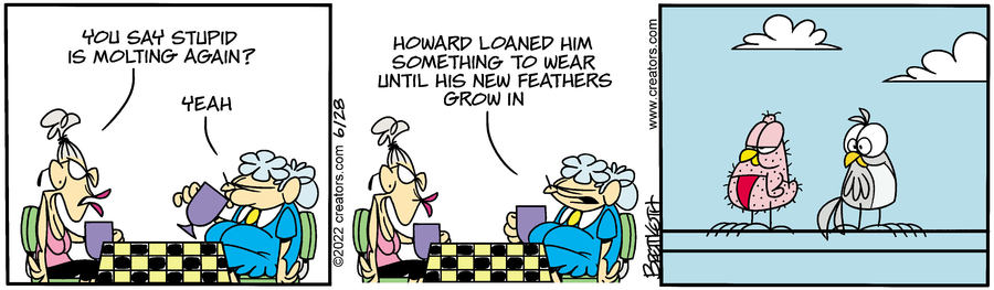 Diamond Lil for Jun 28, 2022