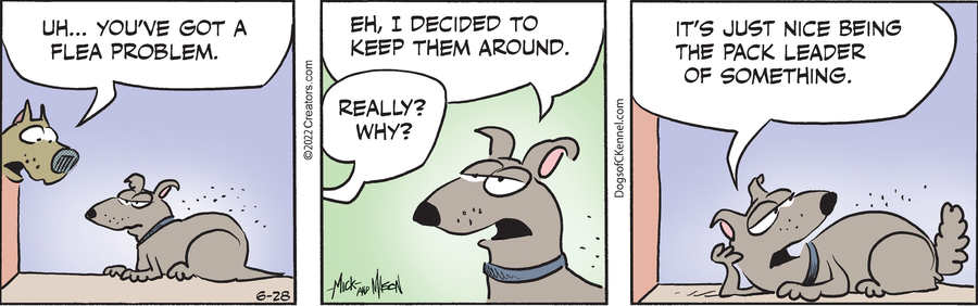 Dogs of C-Kennel for Jun 28, 2022