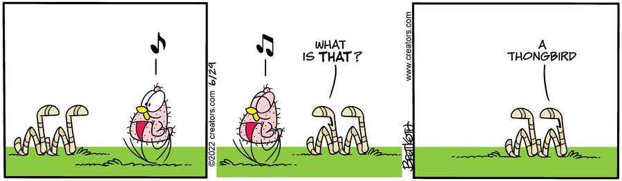 Diamond Lil for Jun 29, 2022