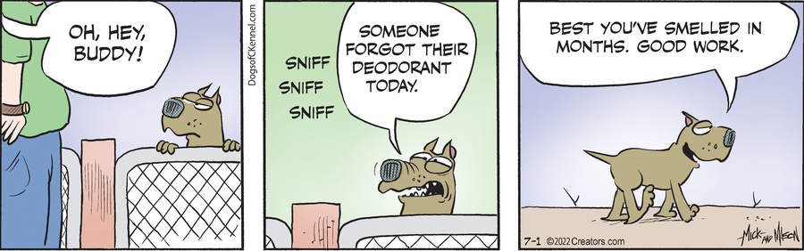 Dogs of C-Kennel for Jul 01, 2022