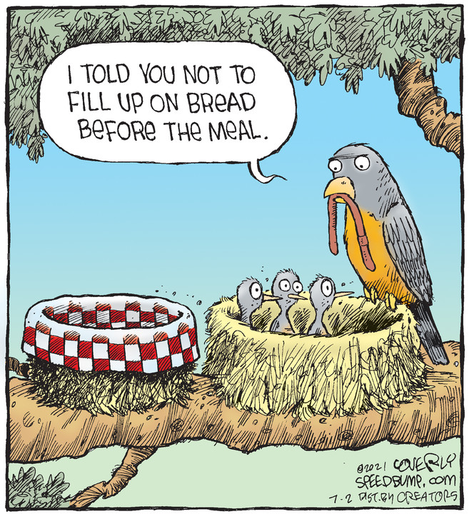 Speed Bump for Jul 02, 2021