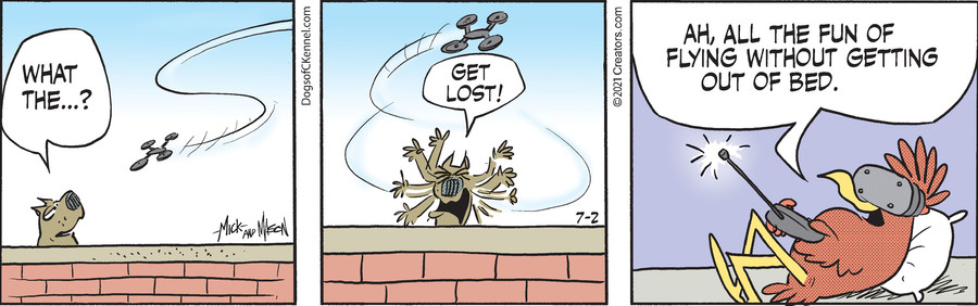 Dogs of C-Kennel for Jul 02, 2021