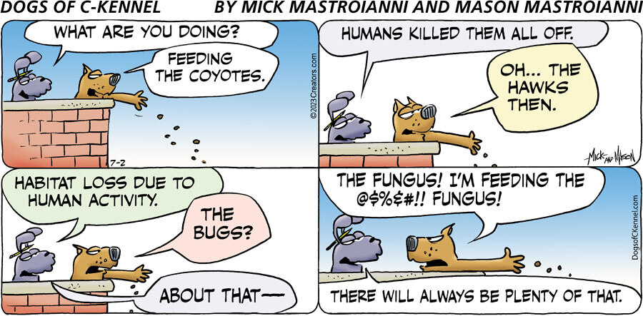 Dogs of C-Kennel for Jul 02, 2023