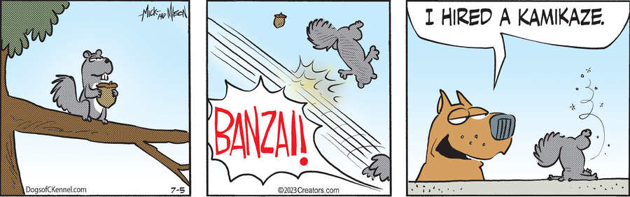 Dogs of C-Kennel for Jul 05, 2023