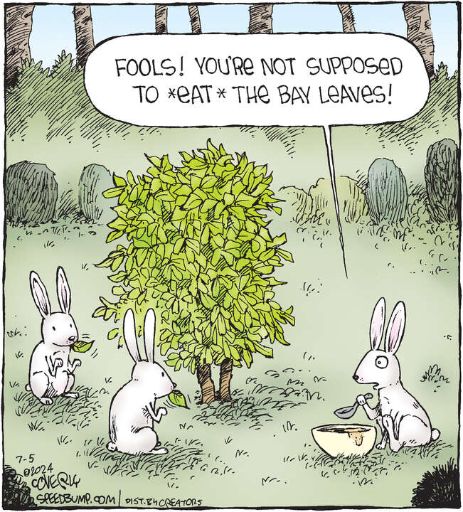 Speed Bump for Jul 05, 2024