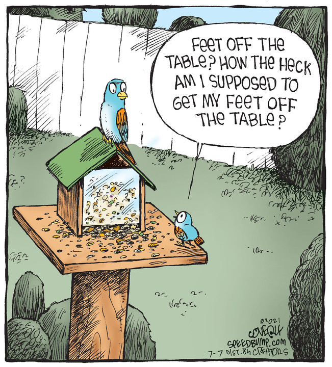 Speed Bump for Jul 07, 2021