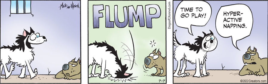 Dogs of C-Kennel for Jul 07, 2022