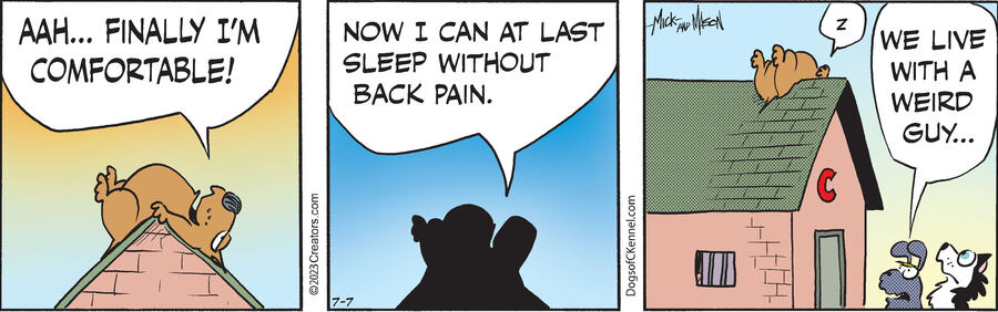 Dogs of C-Kennel for Jul 07, 2023