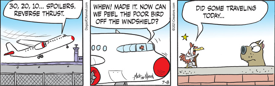 Dogs of C-Kennel for Jul 08, 2021