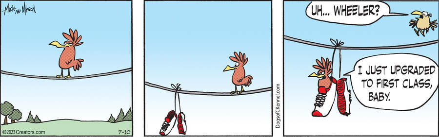 Dogs of C-Kennel for Jul 10, 2023