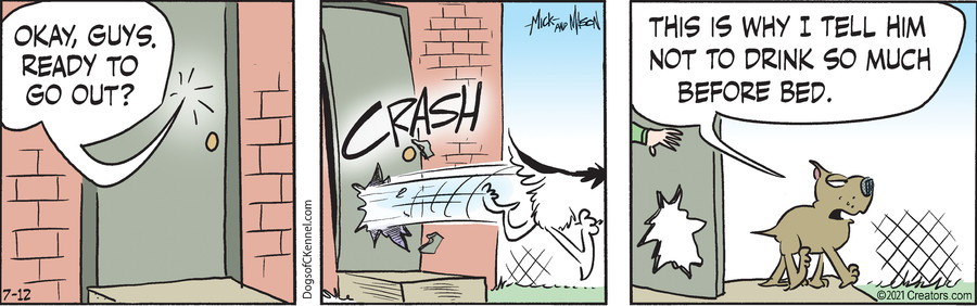 Dogs of C-Kennel for Jul 12, 2021