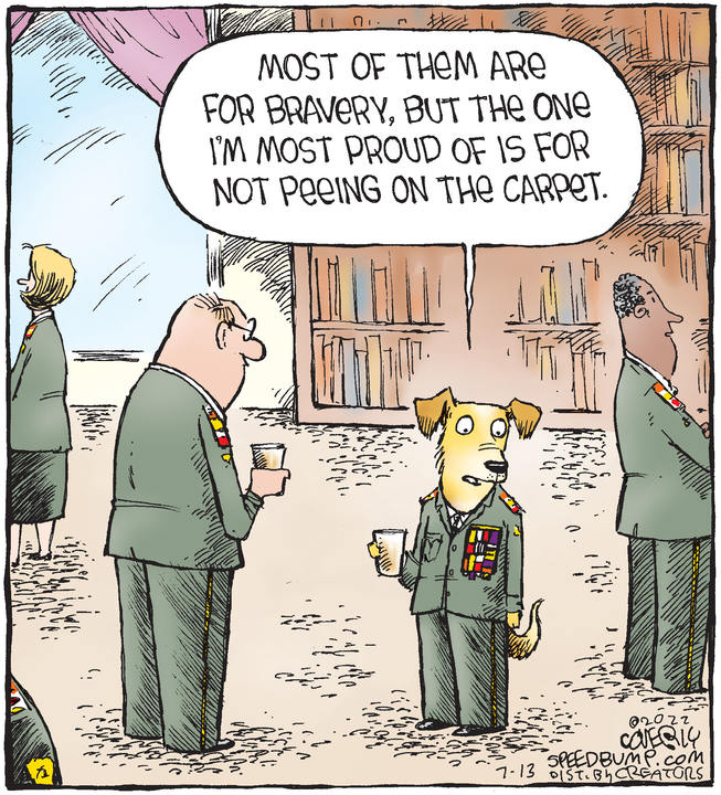 Speed Bump for Jul 13, 2022