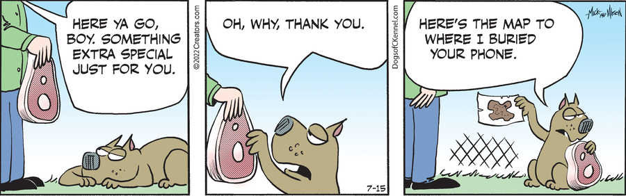 Dogs of C-Kennel for Jul 15, 2022