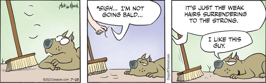 Dogs of C-Kennel for Jul 18, 2022