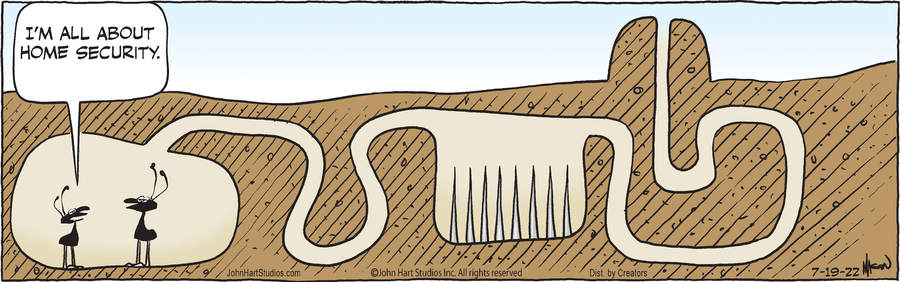 B.C. for Jul 19, 2022