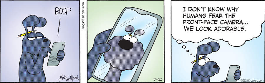 Dogs of C-Kennel for Jul 20, 2022