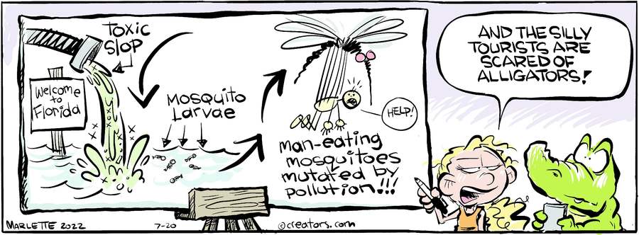 Shrimp and Grits for Jul 20, 2022