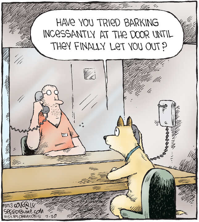 Speed Bump for Jul 20, 2023