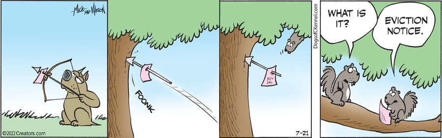 Dogs of C-Kennel for Jul 21, 2022