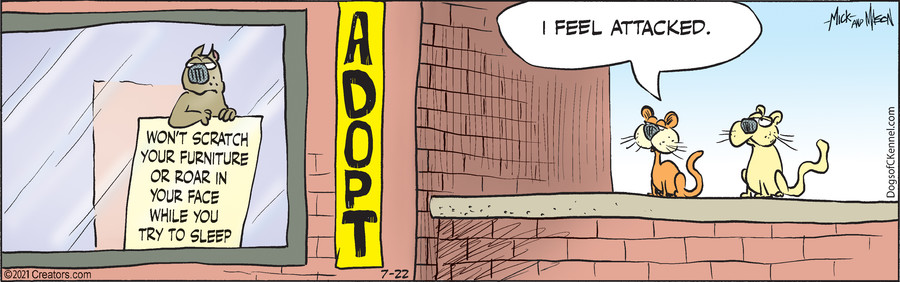 Dogs of C-Kennel for Jul 22, 2021