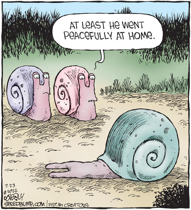 Speed Bump for Jul 23, 2022