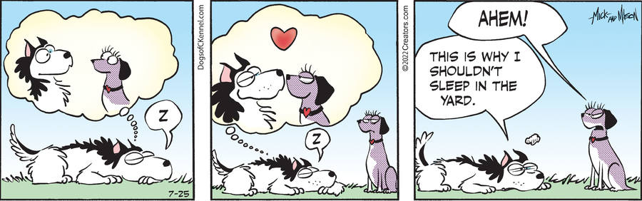 Dogs of C-Kennel for Jul 25, 2022